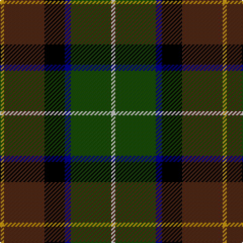 DY/4 T40 K20 DB6 G40 N/4 tartan Tartan detail