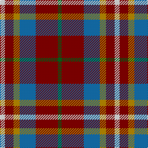W/8 DR14 DY10 B26 DR36 G/6 tartan Tartan detail