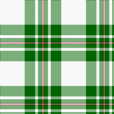 LR/6 K2 G16 W12 G44 W/104 tartan Tartan detail