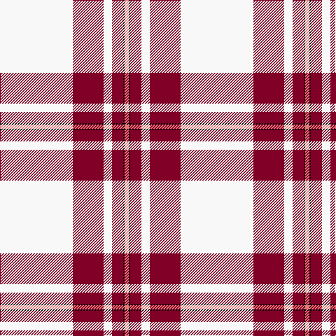 W/104 DR44 W12 DR16 K2 LR/6 tartan Tartan detail