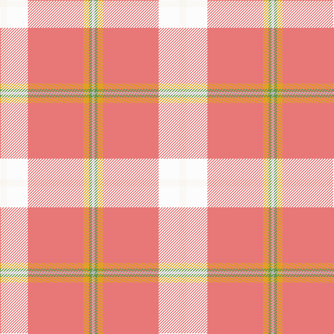 N/4 LG4 Y8 LR80 W30 Wa/10 tartan Tartan detail