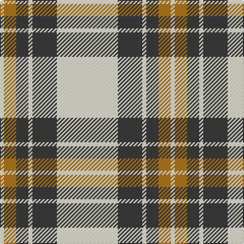 LY/4 LT12 N12 LY4 N24 LY/60 tartan Tartan detail