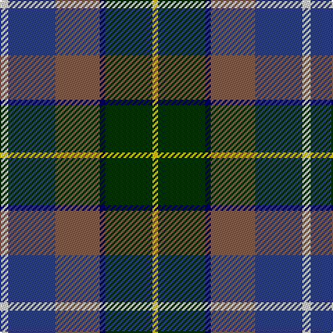 LN/6 B34 LT32 DB4 DG34 Y/4 tartan Tartan detail