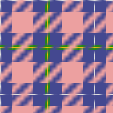 LN/6 B46 LR88 B52 G8 Y/4 tartan Tartan detail