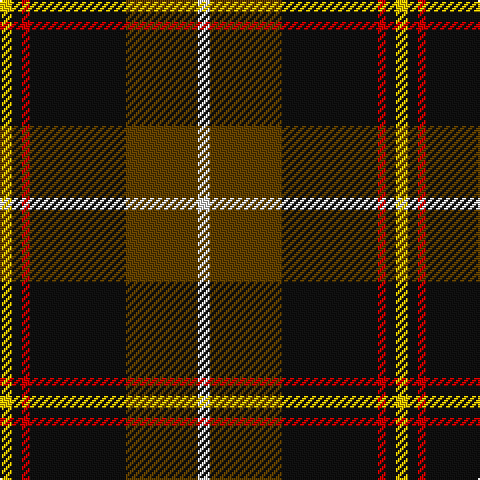 Y/6 K5 R4 K48 T36 LN/6 tartan Tartan detail