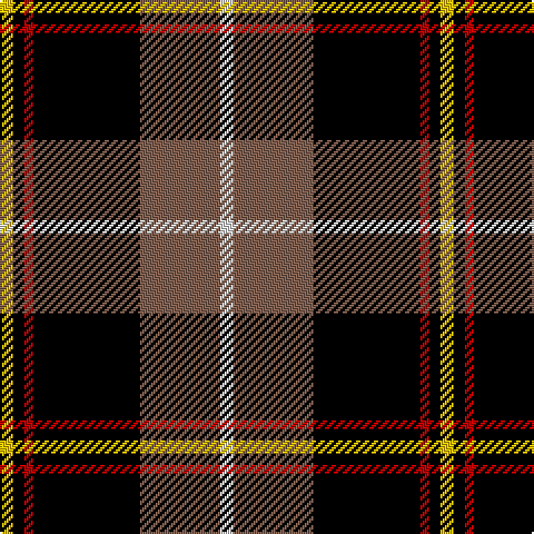 Y/6 K5 R4 K48 LT36 LN/6 tartan Tartan detail