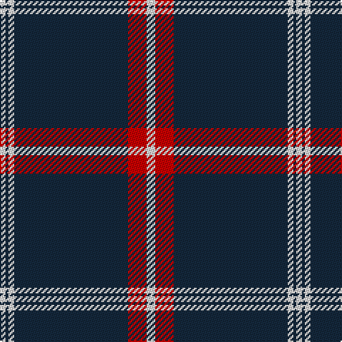 LN/4 DN2 LN4 DN80 R13 LN/6 tartan Tartan detail