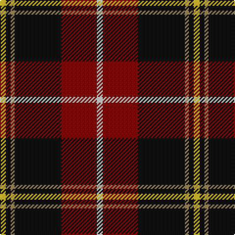 Y/6 K5 LT4 K48 DR36 LN/6 tartan Tartan detail