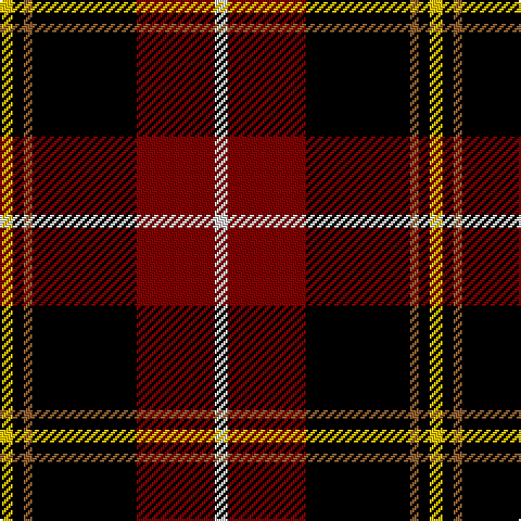 Y/6 K5 LT4 K48 DR36 LN/6 tartan Tartan detail