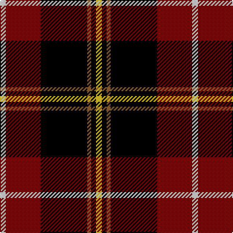 LN/6 DR36 K48 LT4 K5 Y/6 tartan Tartan detail