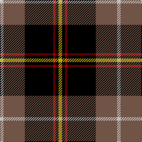 LN/6 LT36 K48 R4 K5 Y/6 tartan Tartan detail