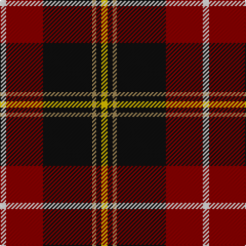 LN/6 DR36 K48 LT4 K5 Y/6 tartan Tartan detail