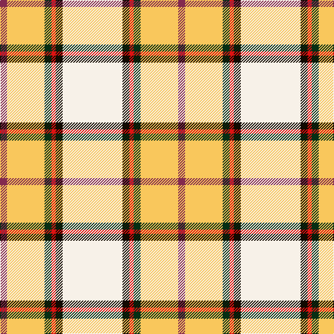 DR/10 LG54 DG10 R6 K10 W/86 tartan Tartan detail