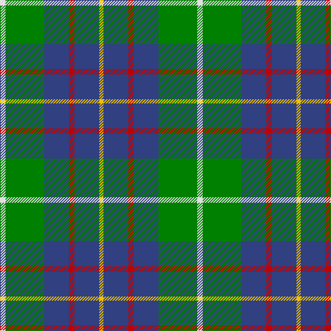 LN/8 G56 B36 R8 B36 Y/6 tartan Tartan detail