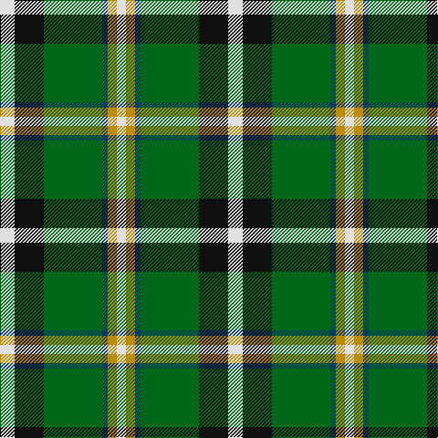 LN/10 DY10 DB6 G64 K32 LN/16 tartan Tartan detail