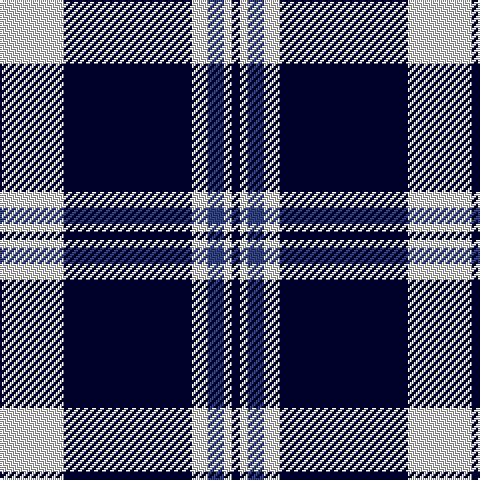LN/32 DB64 LN8 B8 LN4 DB/4 tartan Tartan detail
