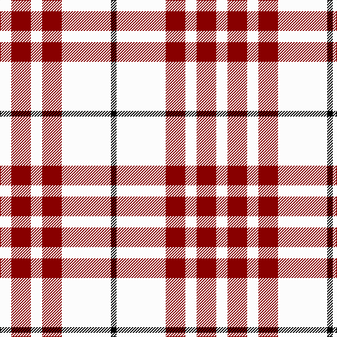 W/16 DR28 W16 DR28 W70 K/8 tartan Tartan detail