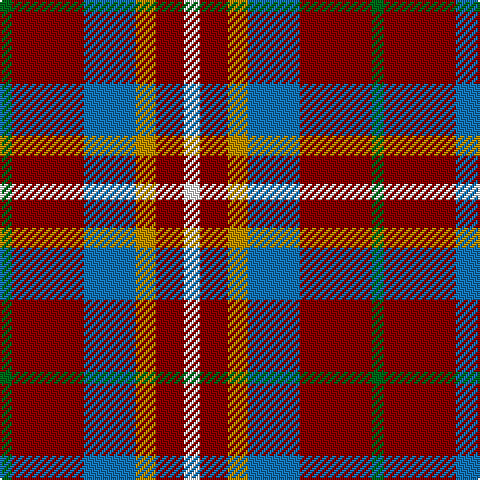 G/6 DR36 B26 DY10 DR14 W/8 tartan Tartan detail