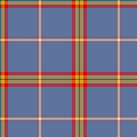 G/4 Y12 R12 B100 LT8 W/8 tartan Tartan detail