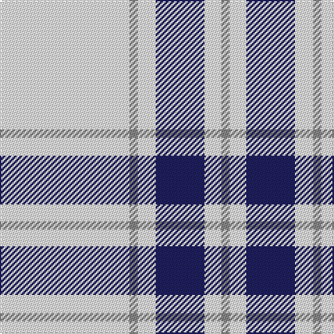 N/6 W12 DB35 W13 N6 W/93 tartan Tartan detail