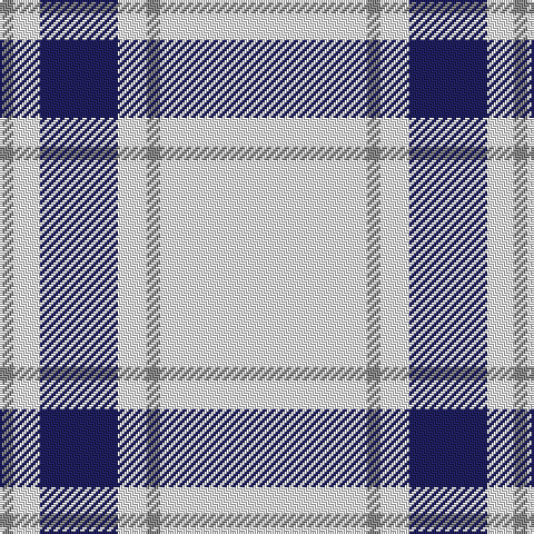 N/6 W12 DB35 W13 N6 W/93 tartan Tartan detail