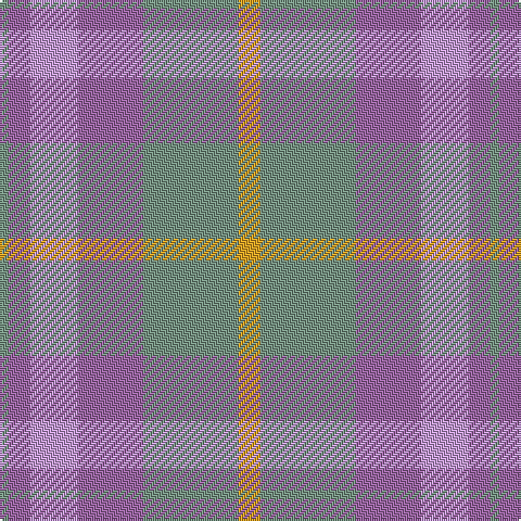 LG/4 LP10 LPa22 LP30 LG44 Y/10 tartan Tartan detail