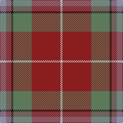 N/12 LT10 K4 G36 DR56 W/4 tartan Tartan detail