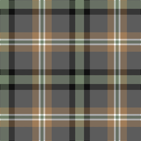 Na/30 K20 N60 LT22 W6 Na/10 tartan Tartan detail