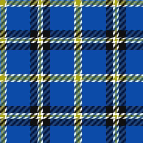 LG/16 W6 B80 K24 W6 LG/6 tartan Tartan detail