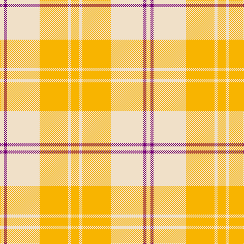W/8 P6 W64 Y56 W6 Y/16 tartan Tartan detail