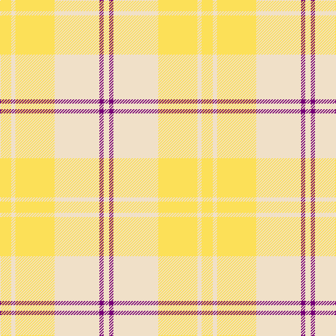 LY/16 W6 LY56 W64 P6 W/8 tartan Tartan detail
