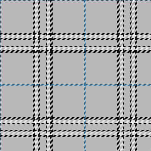 B/4 N100 K8 LN10 K4 N/20 tartan Tartan detail