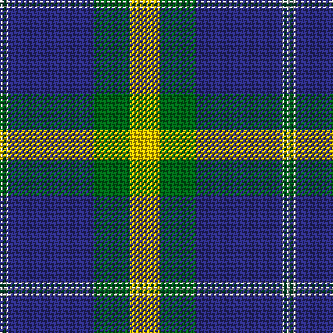 LN/2 DG2 LN2 DB62 G26 Y/21 tartan Tartan detail