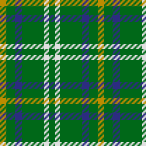 DY/21 G28 DB24 G72 LN16 G/20 tartan Tartan detail