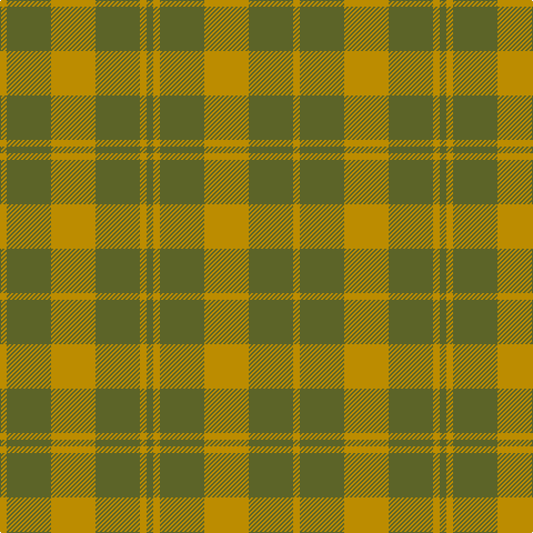 DY/6 G40 DY40 G40 DY6 G/6 tartan Tartan detail