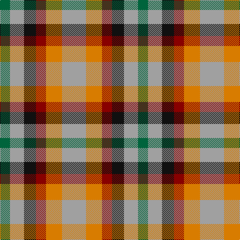 G/20 N28 K24 DR20 O32 N/48 tartan Tartan detail