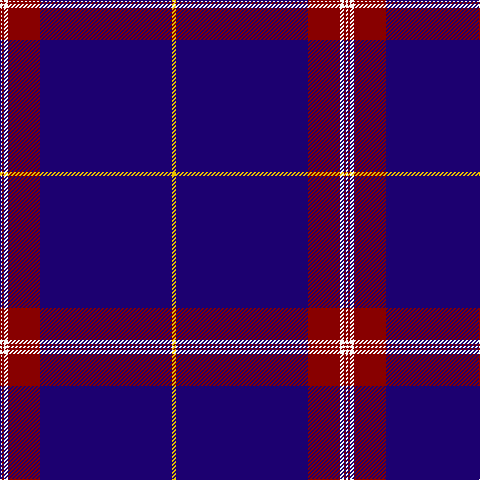 W/2 DR2 W4 DR32 DB132 Y/4 tartan Tartan detail