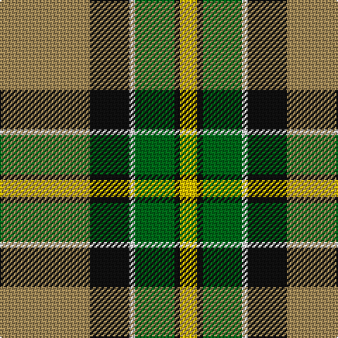 LT/64 K28 LN4 G28 K4 Y/12 tartan Tartan detail