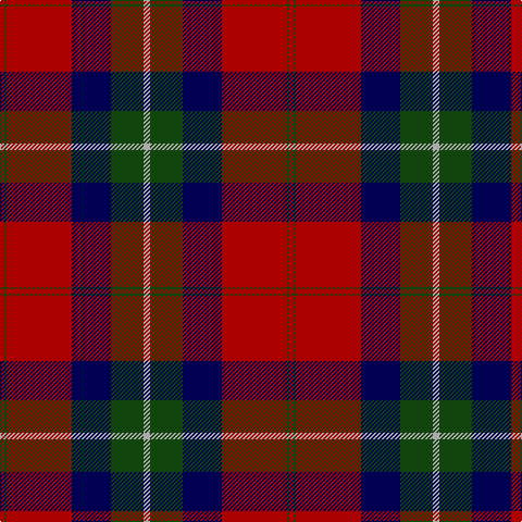 DR/4 DG2 DR60 DB36 DG30 N/6 tartan Tartan detail