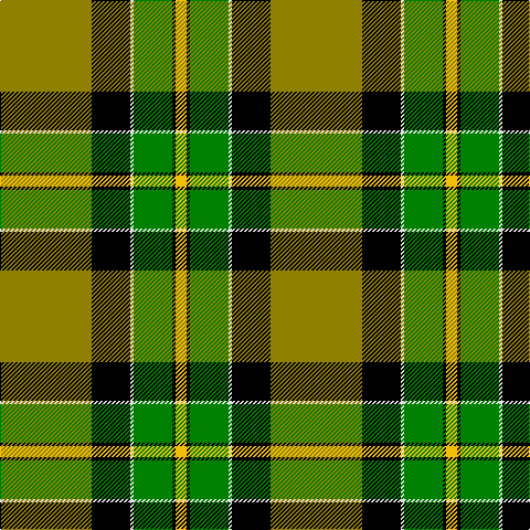 LG/83 K35 LN3 G35 K3 Y/10 tartan Tartan detail
