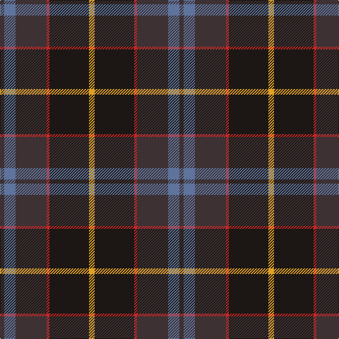 T/6 B16 T44 R4 K56 Y/8 tartan Tartan detail