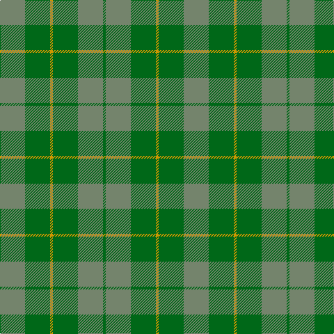 N/36 G36 DY4 G36 N36 G/4 tartan Tartan detail