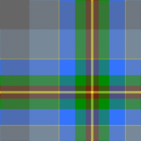 N/100 Na100 Y2 B54 G36 T18 Y/8 tartan Tartan detail