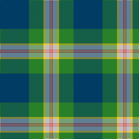 DB/100 G50 Y6 N16 R2 W2 R/2 tartan Tartan detail