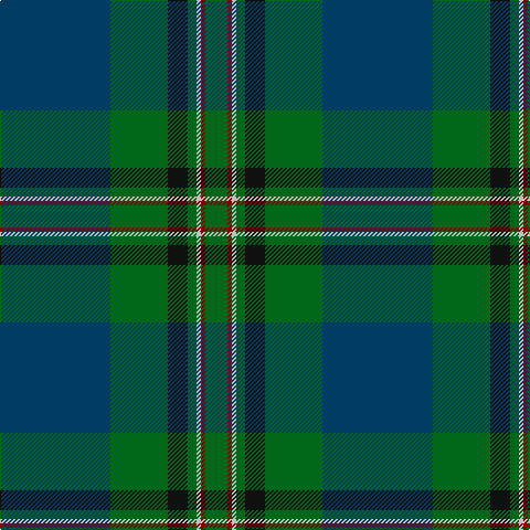 DB/100 G52 K18 G8 N4 DR4 G/20 tartan Tartan detail