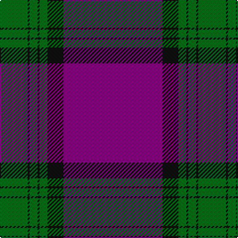G/28 K2 G8 K2 G8 K16 P/100 tartan Tartan detail