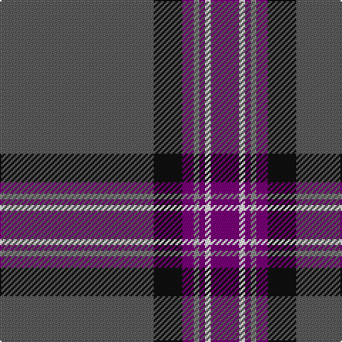 N/108 K20 P8 Na4 P4 W4 P/20 tartan Tartan detail