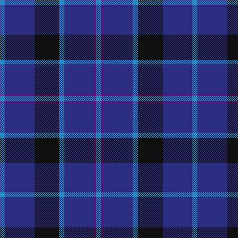 B/10 DB60 K50 B10 DB60 P4 B/10 tartan Tartan detail