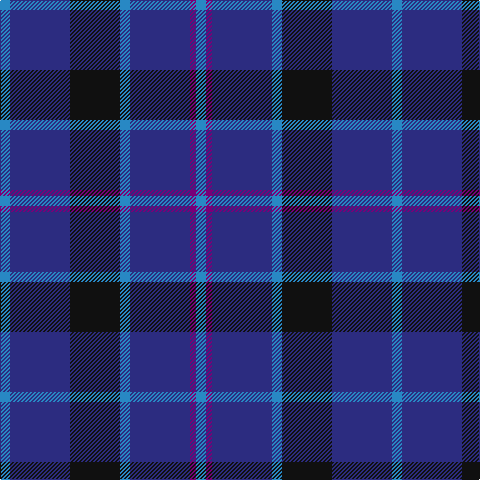 B/10 DB60 K50 B10 DB60 P6 B/10 tartan Tartan detail
