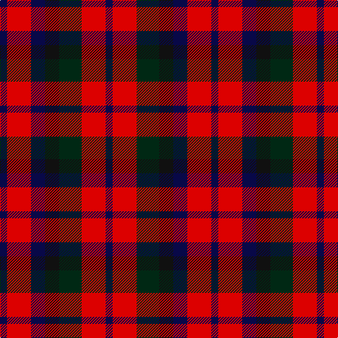 DB/10 R34 DB20 K20 DG32 R34 DB/10 tartan Tartan detail
